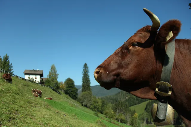 Astlehen, Familie Rettensteiner