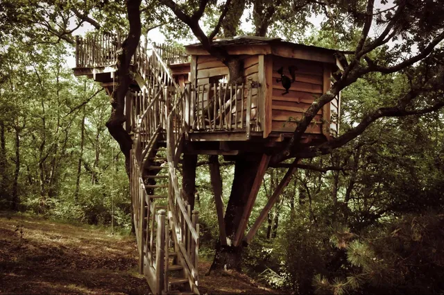 Arbrakabane Tree houses and Trailers