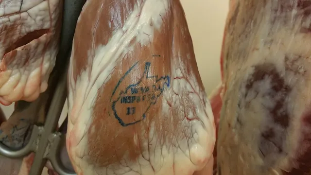 Art's Commercial & Custom Meat