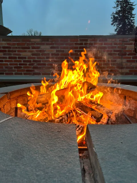 Wild Logs - Firewood & Cooking Wood Supplier