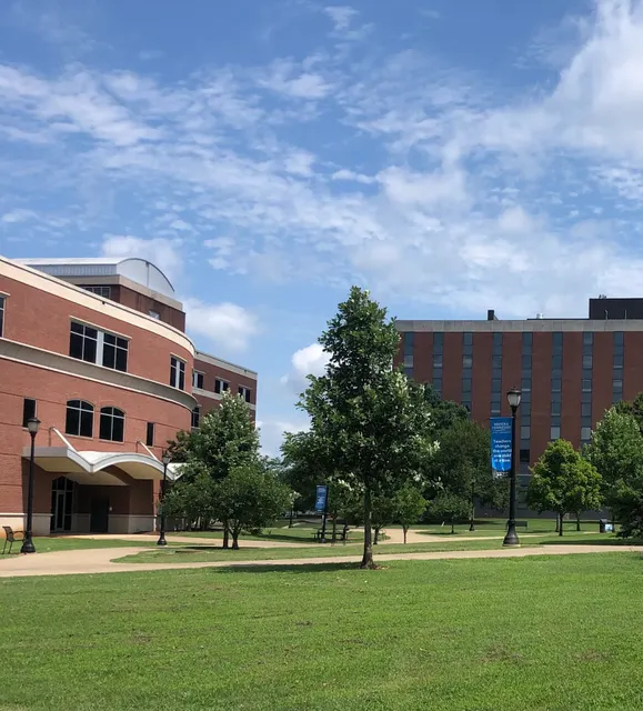 MTSU University College