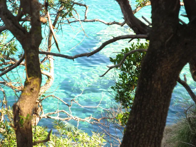 Byronas Apartments Paleokastritsa