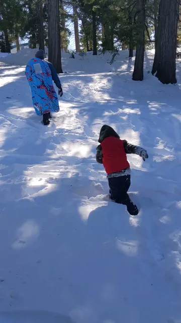 The Perch at Twin Peaks