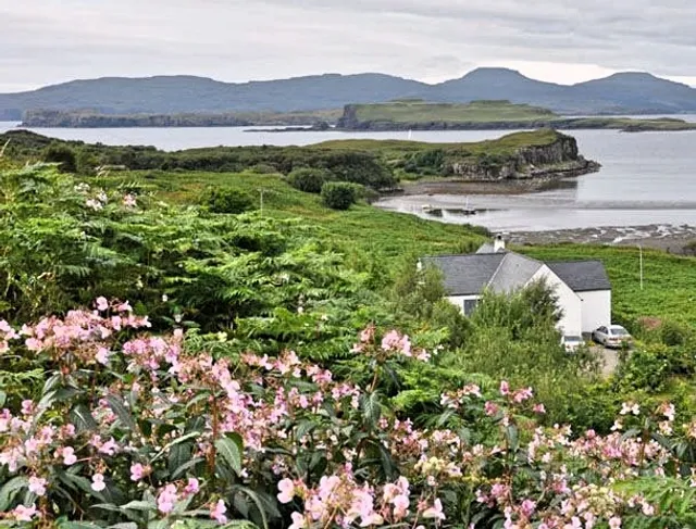 The Seashell Cottage