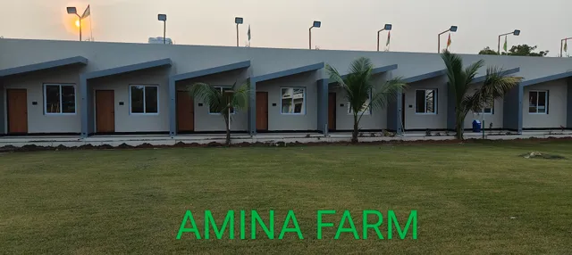AMINA FARM
