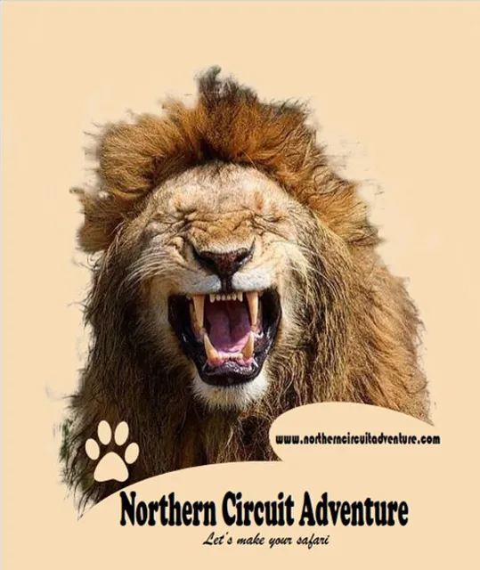 NORTHERN CIRCUIT ADVENTURE