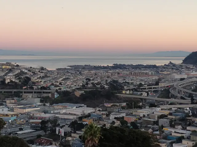 Yggdrasil Urban Wildlife Rescue