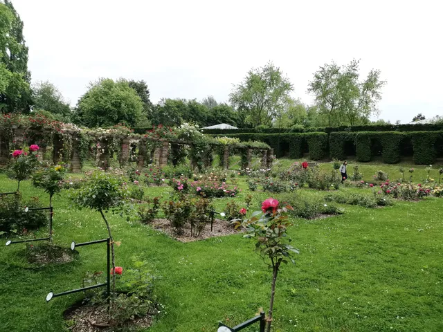 Parc de l'Île de Puteaux