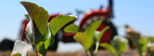 Blessing Falls Family Farm