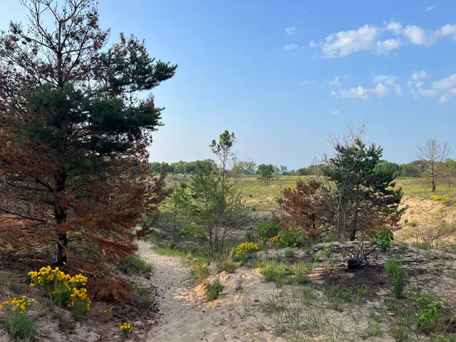 Dunes Prairie Nature Preserve