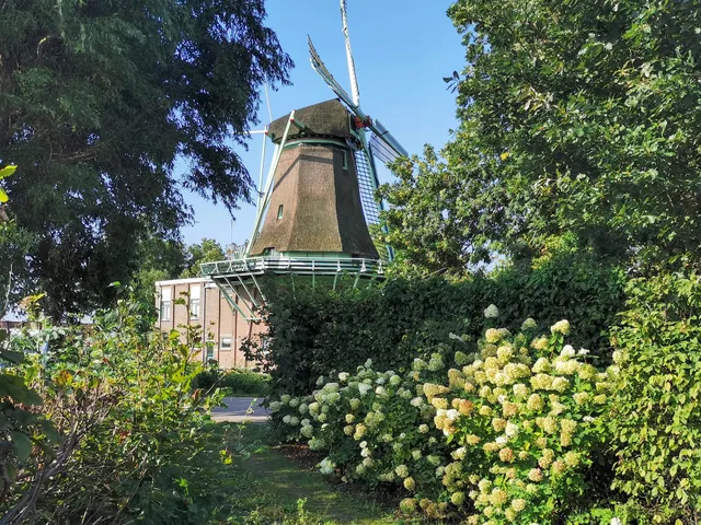 Nabij de Molen