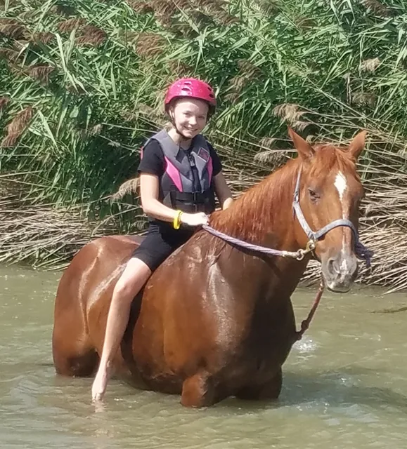 The Farm Animal Rescue; formerly known as The Farm at Gardner Village
