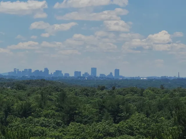 Steel Tower Lynn Woods