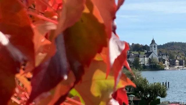 Seehaus family Leifer