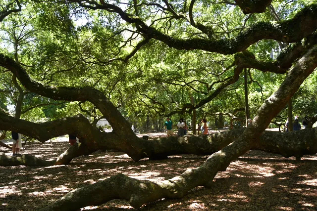 Sites & Insights Tours Inc