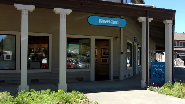 Discovery Gallery