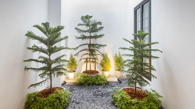 The Elements Boutique House