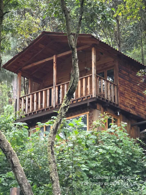 Cabañas en el Bosque
