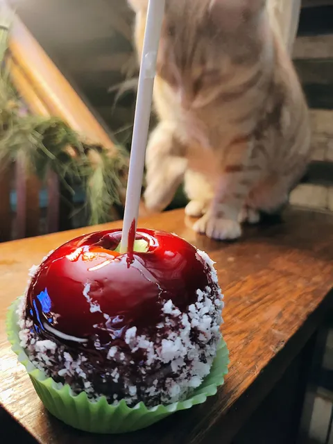 Mary's cakes and catering