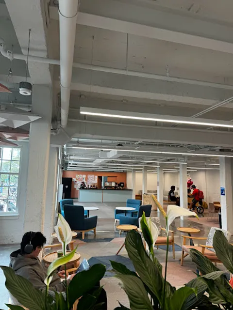 Island Brew Coffeehouse