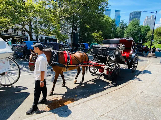 Top Hat NY Horse & Carriage