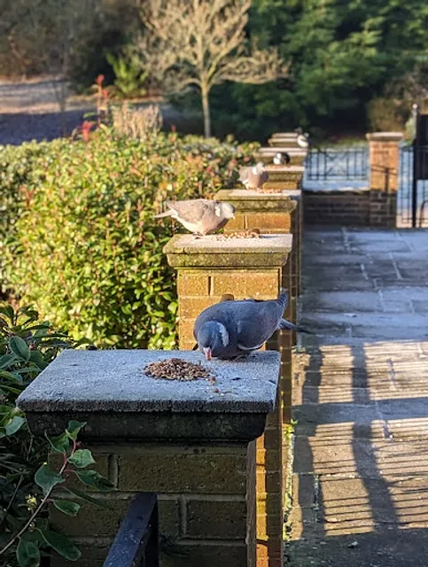 Darley Abbey Park Tea Room