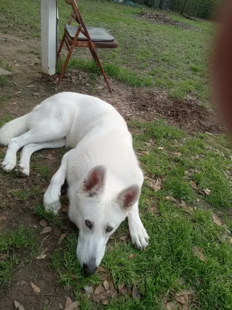 Silsbee Farm and Ranch