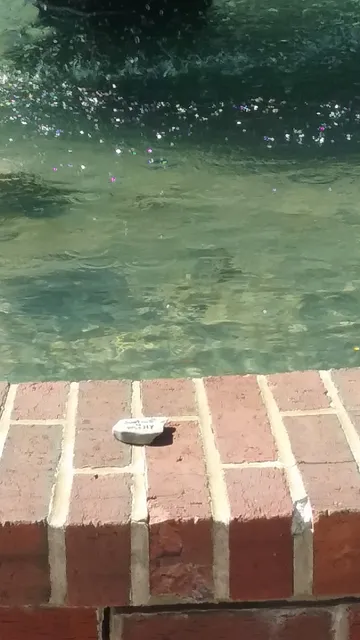 Murphysboro Farmer's Market