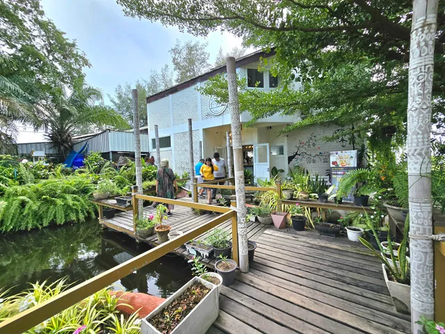 WHITE HOUSE BEACH CAMPING Caravans