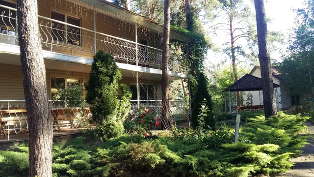 Forest Hotel