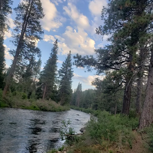 Donkey Town Trailhead