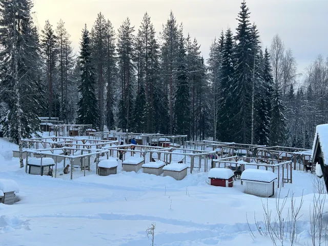 Husky farm Parpalandia Cottages & Tours