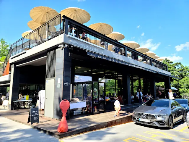 The Forest Choso Chaekbang