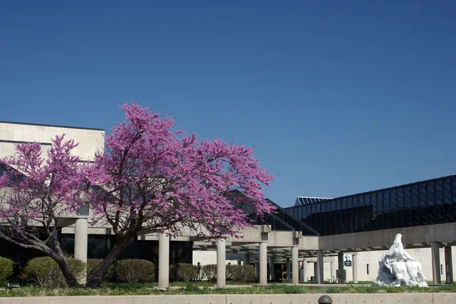 Kansas Museum of History