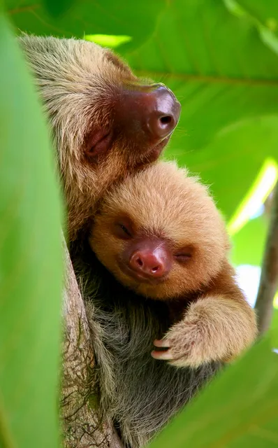 Manuel Antonio Park Tickets & Tours | Information Center