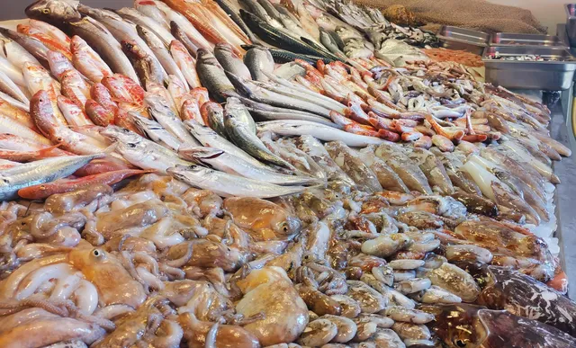 Casa del Pesce Viglianisi Maurizio