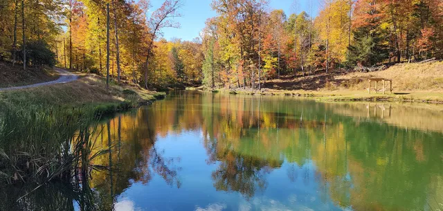 Cranberry Forest Farm Campground