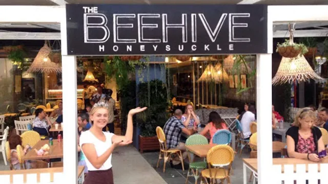 The Beehive Honeysuckle