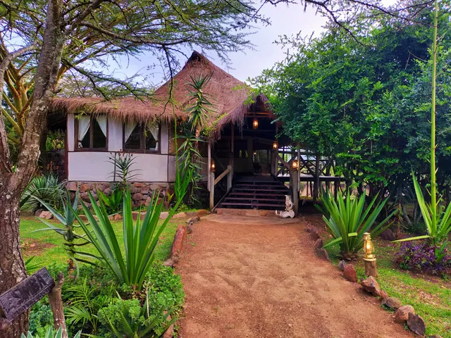 Cheetah Mara Tented Camp