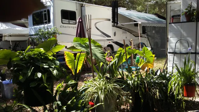 Anclote Village RV Park