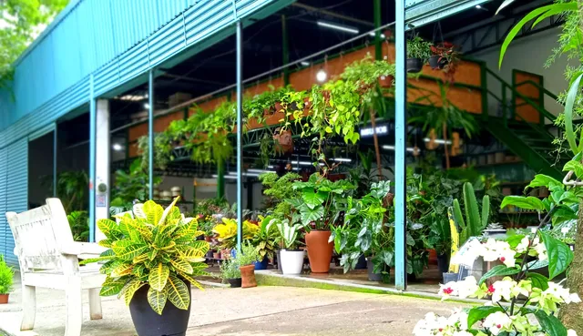 Galpão Vidas em Solo