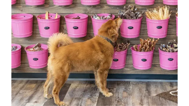 Woof Gang Bakery & Grooming Northville