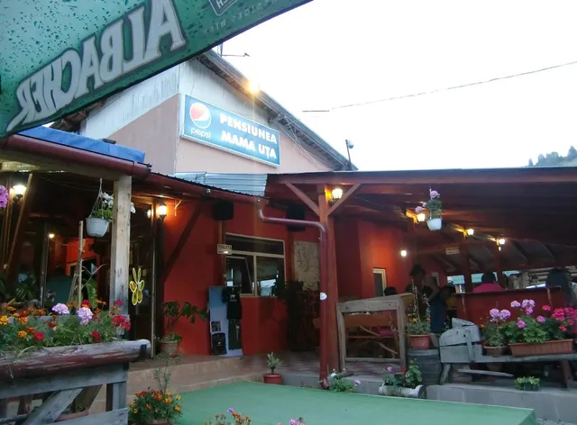 Pensiune-Restaurant-SPA Mama Uța