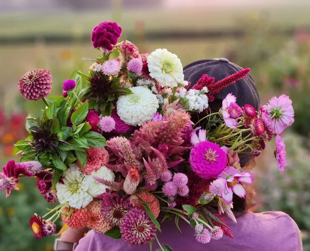 Copper Bee Flower Farm: You-Pick Flower Farm & Flower Boutique