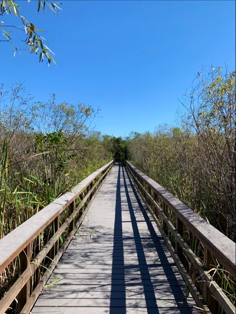 Bobcat Boardwalk Trailhead