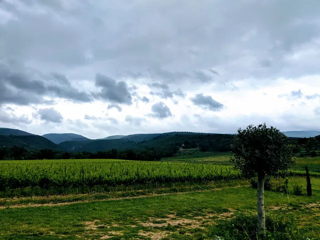 La Fontaine Des Noyers