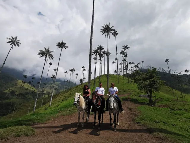 Cabalgatas valle del cocora cocoratours