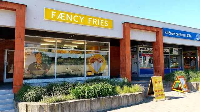 FÆNCY FRIES