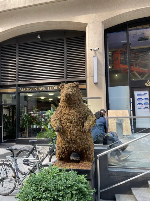 Madison Avenue Florist