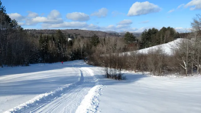 Viking Nordic Center